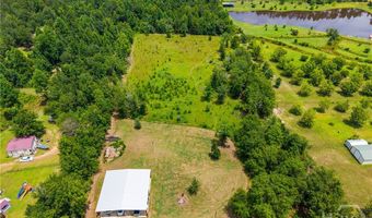 762 Old McLeod Bridge Rd, Adrian, GA 31002