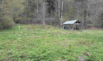 169 Bear Hill Rd, Braintree, VT 05060