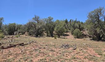 236 W Kings Ranch Rd, Ash Fork, AZ 86320