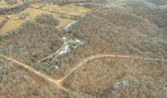 116 Hambrich Hollow Rd, Anderson, MO 64831