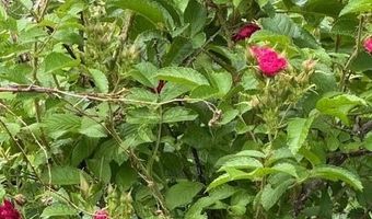 45 Freedom Rd, Belgrade, ME 04917