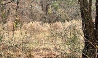 Julius Bridge Road, Ball Ground, GA 30107