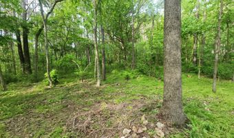 748 Puckett Rd, Anderson, MO 64831