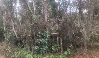 192 Sawyer Ln, Apalachicola, FL 32320