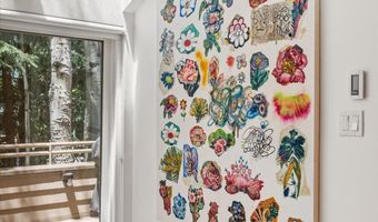 100 N Eighth St 3, Aspen, CO 81611