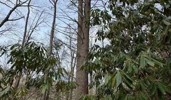 2 13 Acres Big Ridge Rd, Bakersville, NC 28705