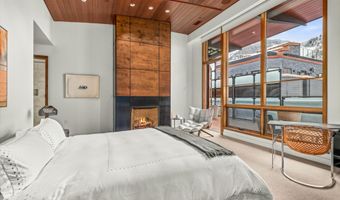 233 E Cooper Ave 301, Aspen, CO 81611