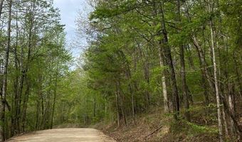 595 Ridgeview Lake Dr, Alabaster, AL 35007