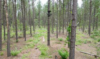 19 43 Big Rocks Rd, Antlers, OK 74523