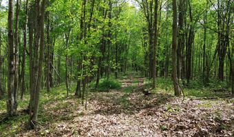 566 A Tunnel Ridge Rd, Argillite, KY 41121