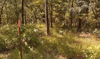 Lot 19 Saddle Creek Ct, Alba, TX 75410