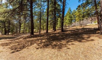 116 Pine Dr, Bayfield, CO 81122