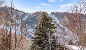 990 E Hopkins Ave, Aspen, CO 81611