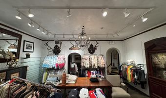 419 E Cooper Ave, Aspen, CO 81611