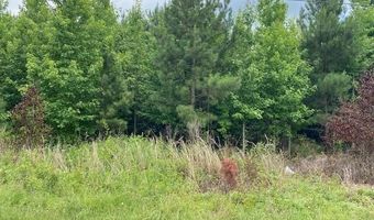 Lot 1-C Daniels Lane, Bennettsville, SC 29512