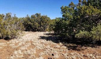 29 County Road 8069, Concho, AZ 85924