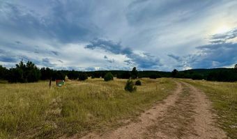 Par 18 Old Homestead Ln, Beulah, CO 81023