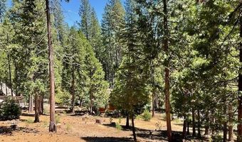 1547 Anna Lee Way, Arnold, CA 95223