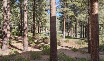 908 Harold Dr 18, Incline Village, NV 89451