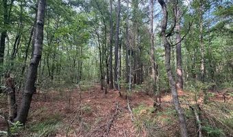 Carbon Plant Road, Bastrop, LA 71220