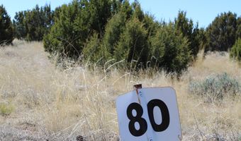 80 County Road 8620, Concho, AZ 85924