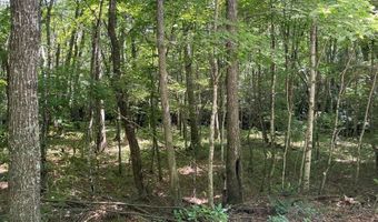3 Clear Fork Creek Rd, Bastian, VA 24314