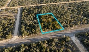 02-2 N 11-0083-00P0-0310 Fairview Rd, Alford, FL 32420