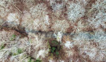 8648 Groundhog Rd, Adger, AL 35006