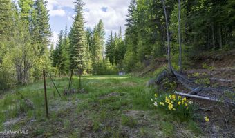 Nna Hugus Creek Road, Calder, ID 83808
