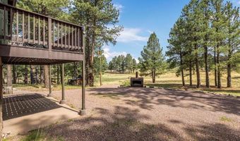 24 County Rd 2079, Alpine, AZ 85920