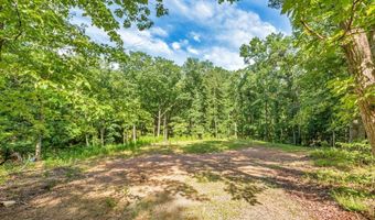 173 Hogan Pond Ln, Ball Ground, GA 30107