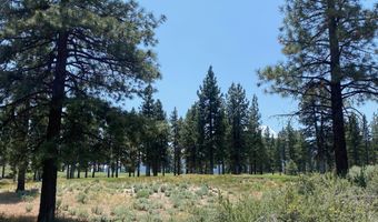 245 Redding Way 226, Carson City, NV 89705