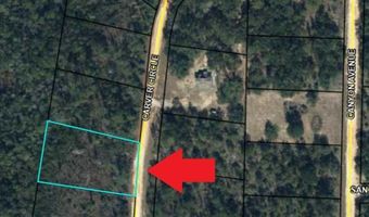 Lot 19 Carver Circle, Alford, FL 32420