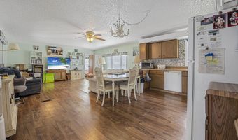 24538 Wild Hog Rd, Astor, FL 32102
