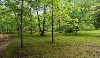 7064 County Road 14-223, Ava, MO 65608