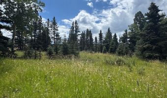 El Camino Real lot 80, Angel Fire, NM 87710