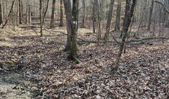 SPRINGHOLLOW ROAD lot 11, Ashville, AL 35953