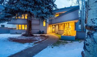 506 W Hallam St, Aspen, CO 81611