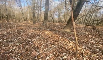 Pushepatapa Cut Off Rd, Bogalusa, LA 70427