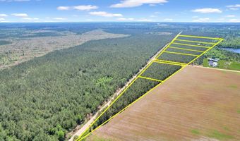 Tract 1 Sanderling, Alma, GA 31510