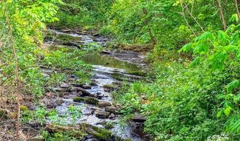 2789 Dry Fork Rd, Bandy, VA 24602