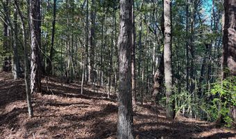 Smith County Road 18-5a, Bay Springs, MS 39422