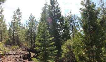 Tower Springs, Bly, OR 97622
