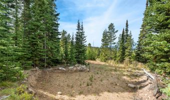 NHN Miners Road, Anaconda, MT 59711