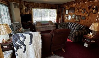 6002 Wildwood, Alger, MI 48610