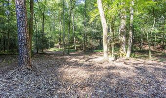 23 59 Ac Chestnut Flats Rd, Andrews, NC 28901