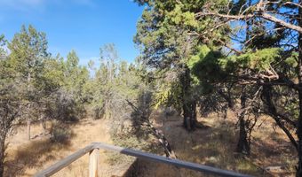 Chicken Hawk Lane Lot 28, Bonanza, OR 97623