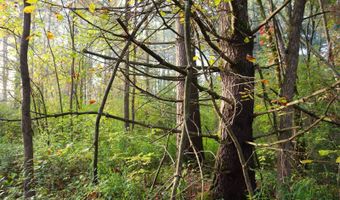 0 Midline Rd, Amsterdam, NY 12010