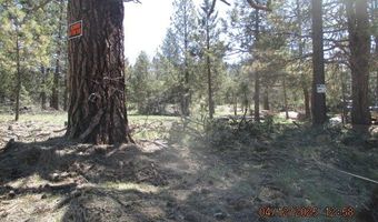 34008 Raccoon Ln, Bonanza, OR 97623