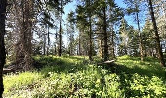 NW Lodge Rd, Banks, OR 97106